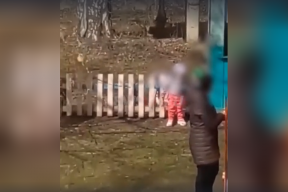 В Нижегородской области отстранили воспитательницу за подвешенного на заборе ребёнка