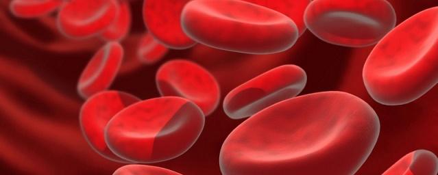 Ученые из Швеции нашли способ омоложения крови