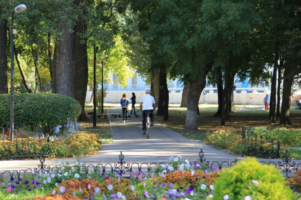 В Ростове в парке Островского откроют композицию «Солнечное дерево»
