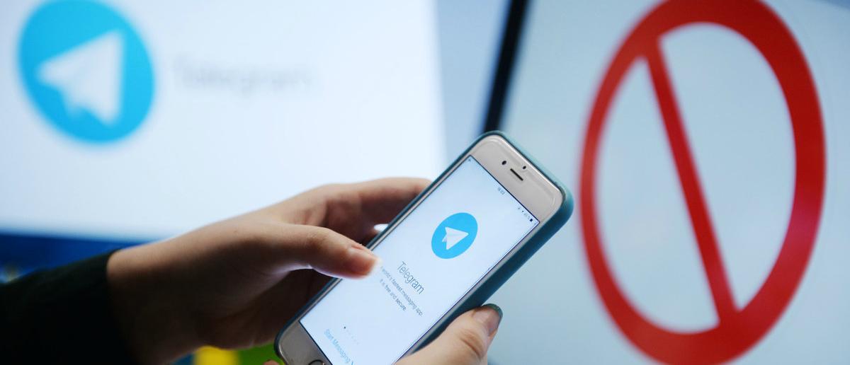 Telegram подал в ЕСПЧ жалобу на блокировку мессенджера в РФ