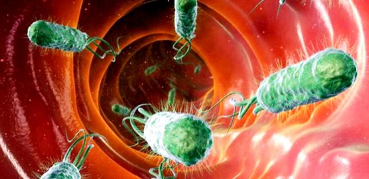Ученые нашли «супероружие» для борьбы с супербактериями