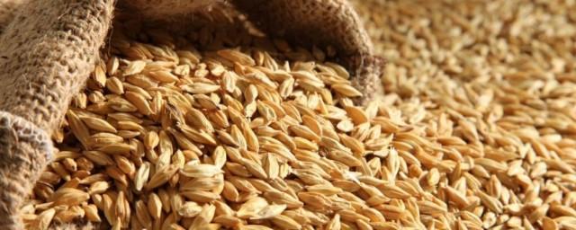Минсельхоз РФ: Экспорт зерна вырос на 36%