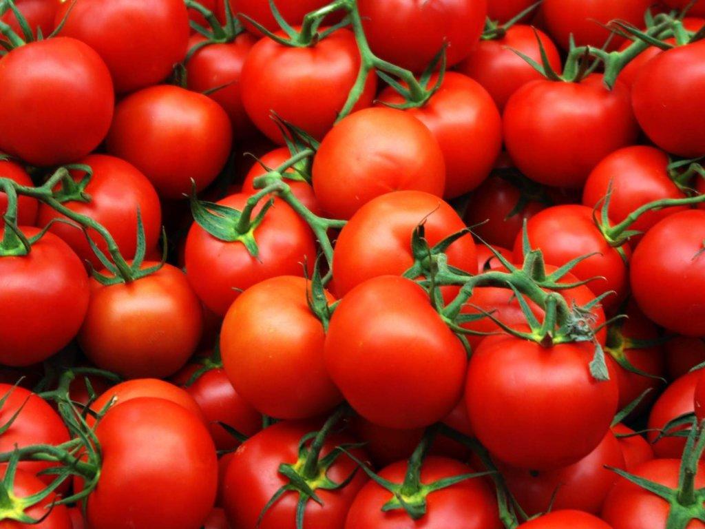 В Чехии благодаря теплу майнинговой фермы вырастили помидоры