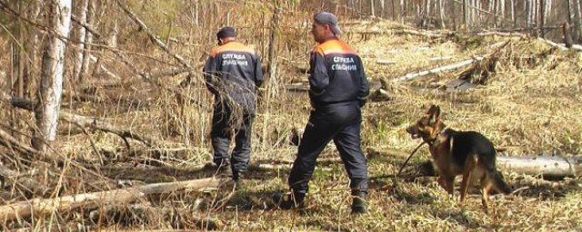 В Забайкалье предположительно обнаружили тело пропавшего бизнесмена