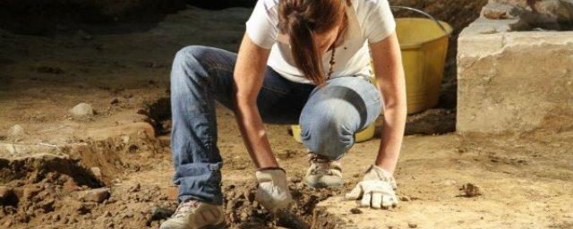 Палеонтологи нашли в Пиренеях следы неизвестной древней рептилии