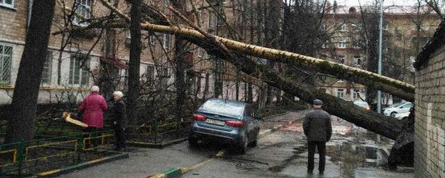Ураган в центральной части России обесточил 900 населенных пунктов