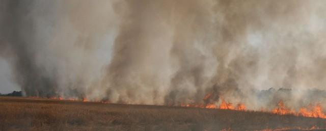 В Кузбассе из-за горящих полей произошло массовое ДТП