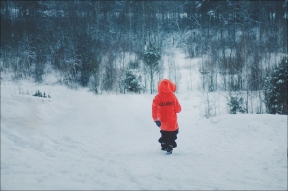 В Приморье 6-летний мальчик ушел из дома и провел ночь в лесу близ поселка на морозе