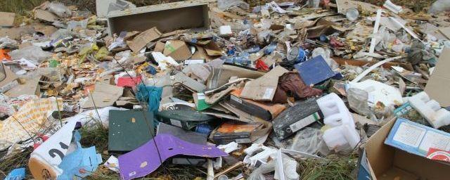 В Тольятти работает пункт приема вторсырья и опасных отходов