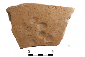 На Херсонесе во время раскопок археологи обнаружили изделия с отпечатками кошачьих лапок