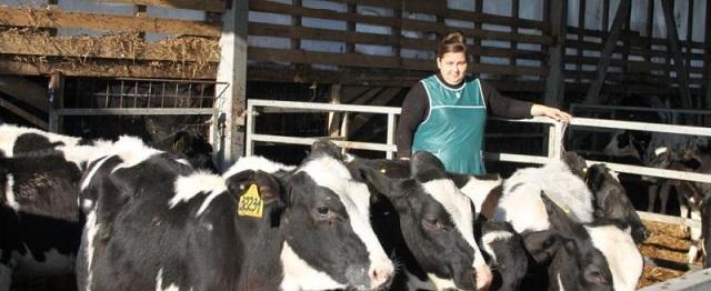 В Вологодской области племзавод «Заря» стал одним из лучших колхозов по производству молока  