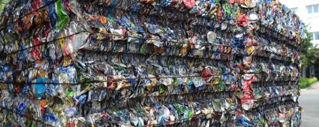 В Плюссе открылся комбинат по переработке пластика