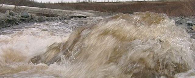 Быстрое таяние снега на Ямале привело к затоплению нескольких сел
