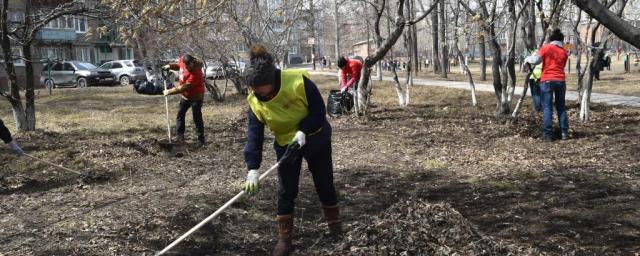 В Новосибирске 800 жителей убрали 80 кубометров мусора из Дендропарка