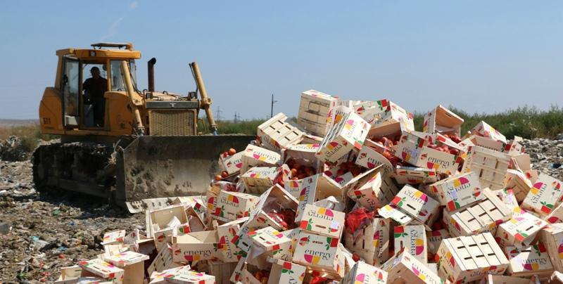 В Орловской области уничтожили почти 1,7 тонны санкционных овощей
