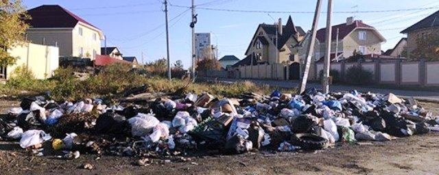 В Екатеринбурге вслед за Челябинском грядет мусорный коллапс