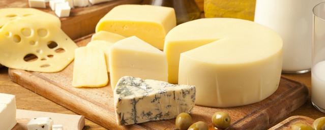 Ученые: Сыр уменьшает содержание холестерина в крови