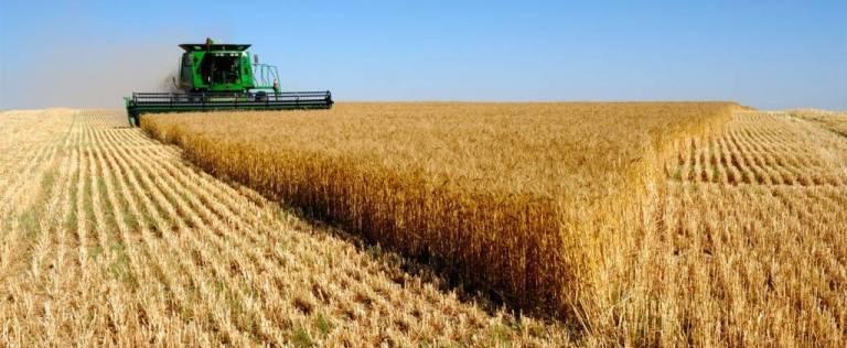 СМИ: Турция вводит новые ограничения на поставку российской пшеницы