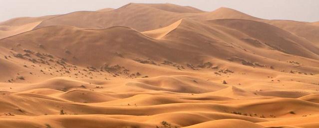 Ученые: За 100 лет площадь пустыни Сахара увеличилась на 10%