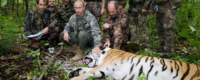 Президент Южной Кореи считает, что в Путине живет дух амурского тигра