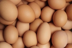 До конца года Казахстан намерен экспортировать в Россию по одному миллиону яиц в месяц