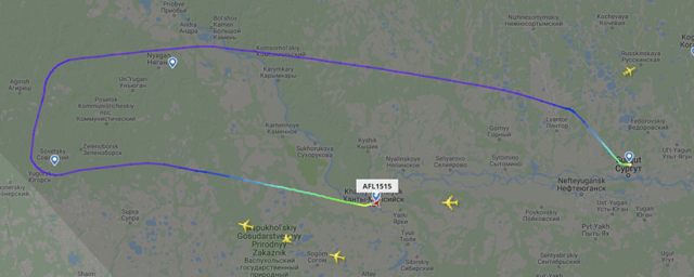 Пассажира, пытавшегося угнать самолет рейса «Сургут-Москва», задержали