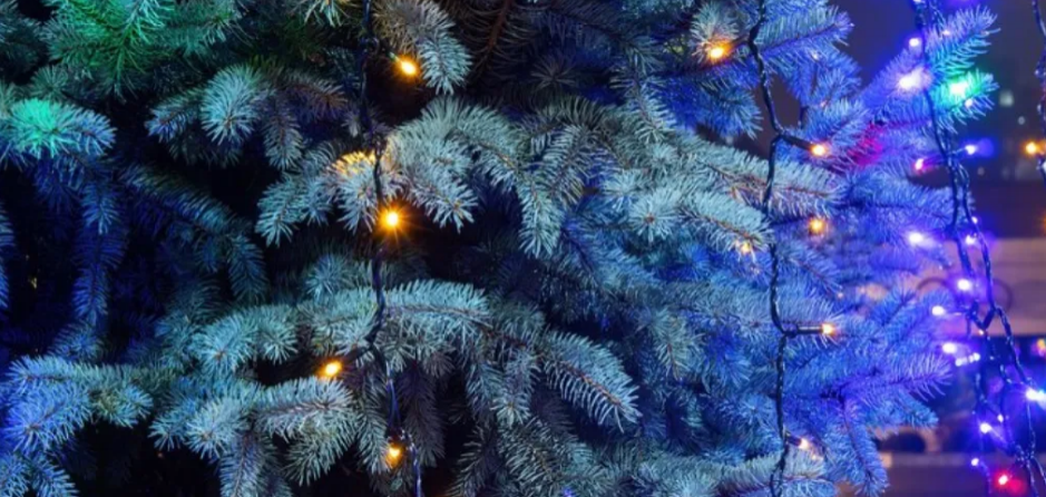 В Электрогорске новогоднюю иллюминацию включат в первый день зимы