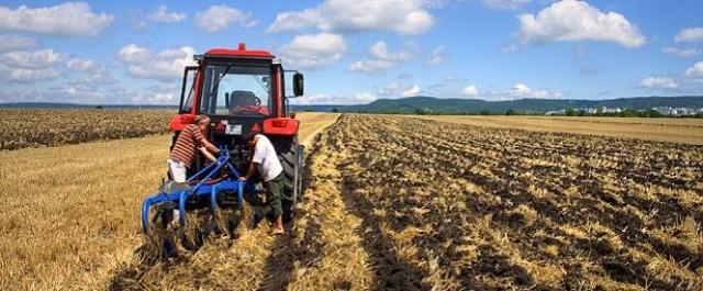 В Челябинской области разыграли новые гранты для фермеров