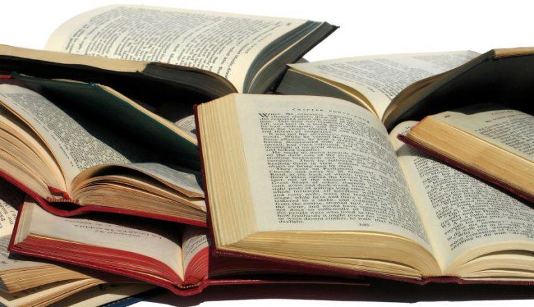В Брянске на Масленицу раздали более 300 книг