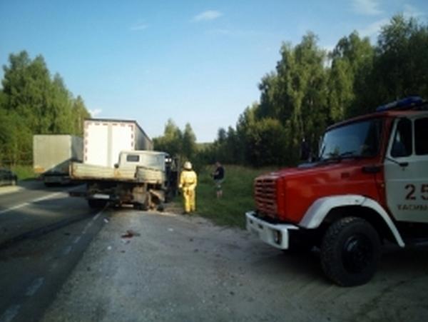 В Рязанской области в столкновении грузовиков пострадали два человека
