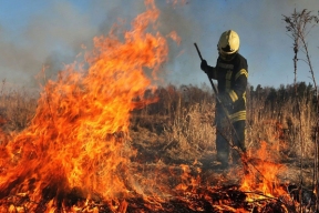 В Петербурге объявили о начале пожароопасного сезона