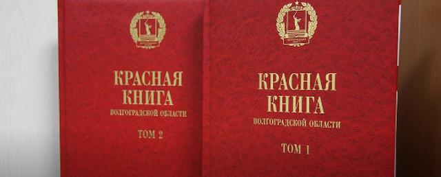 Красная книга Волгоградской области пополнилась новыми видами