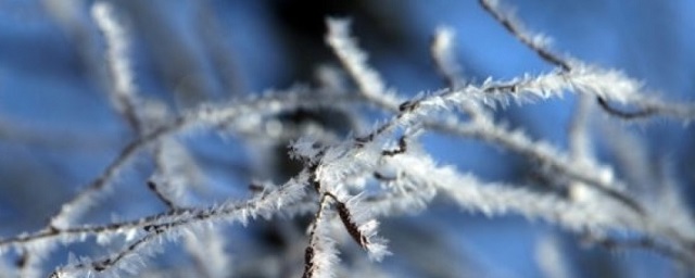 В Москве на следующей неделе ожидается похолодание