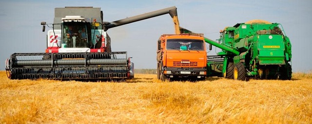 Тамбовская область стала одним из лидеров по производству зерна