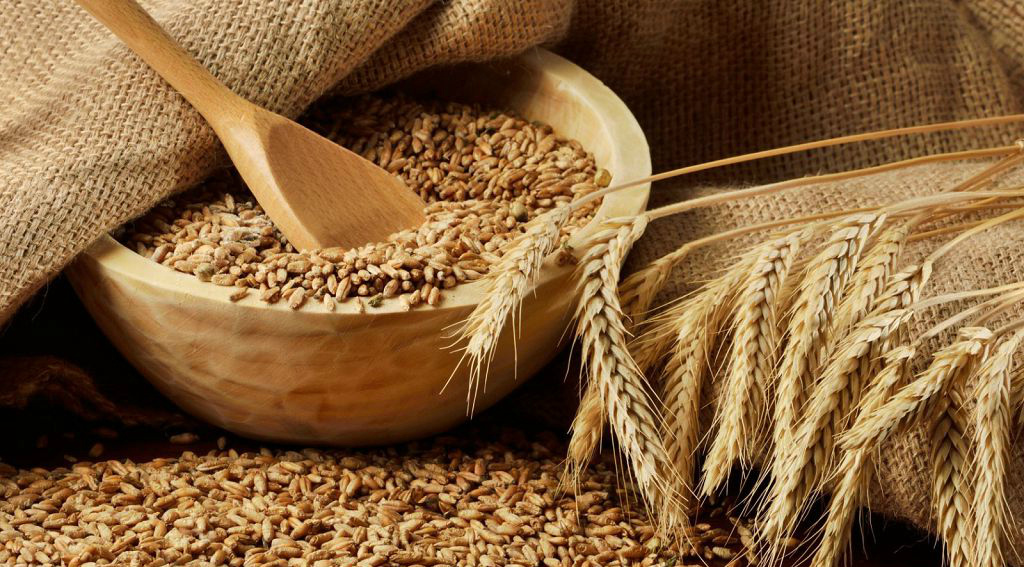 В Краснодарском крае собрали 10,4 млн тонн зерна