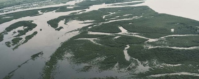 Власти Амурской области оценили ущерб от паводка в 1 млрд рублей