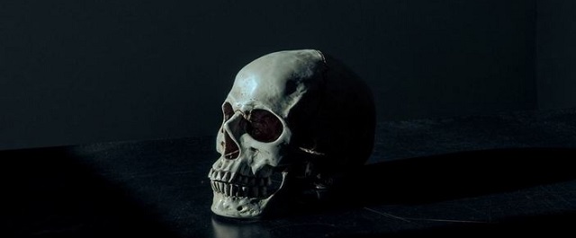 На кладбище в Ленобласти нашли череп в пакете
