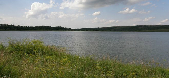 В Саранске на берегу Блохинского ручья появится зона отдыха