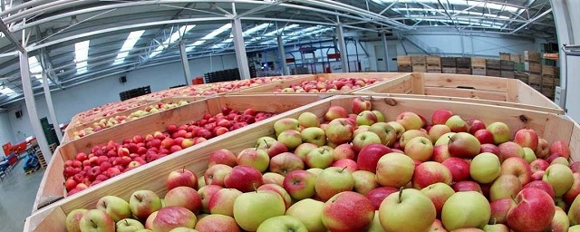 В Адыгее возвели фруктохранилище мощностью 6 тысяч тонн