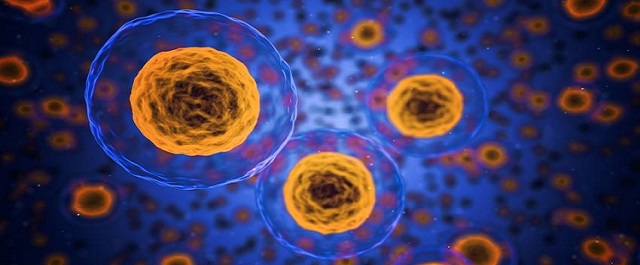 Ученым удалось синтезировать клетки, «охотящиеся» на бактерии