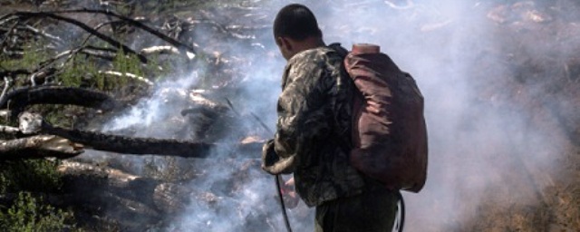 Во Владимирской области завершается тушение крупного лесного пожара