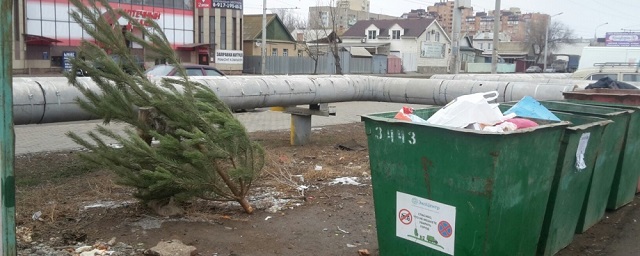 Жители Астрахани начали избавляться от новогодних елок