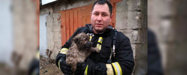 В КБР пожарный спас от гибели щенка из охваченной огнем ямы