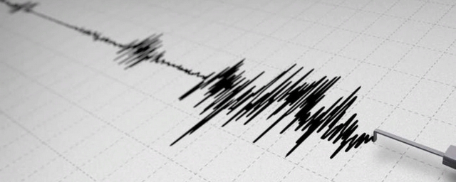 На Камчатке зафиксировали землетрясение магнитудой 4,3
