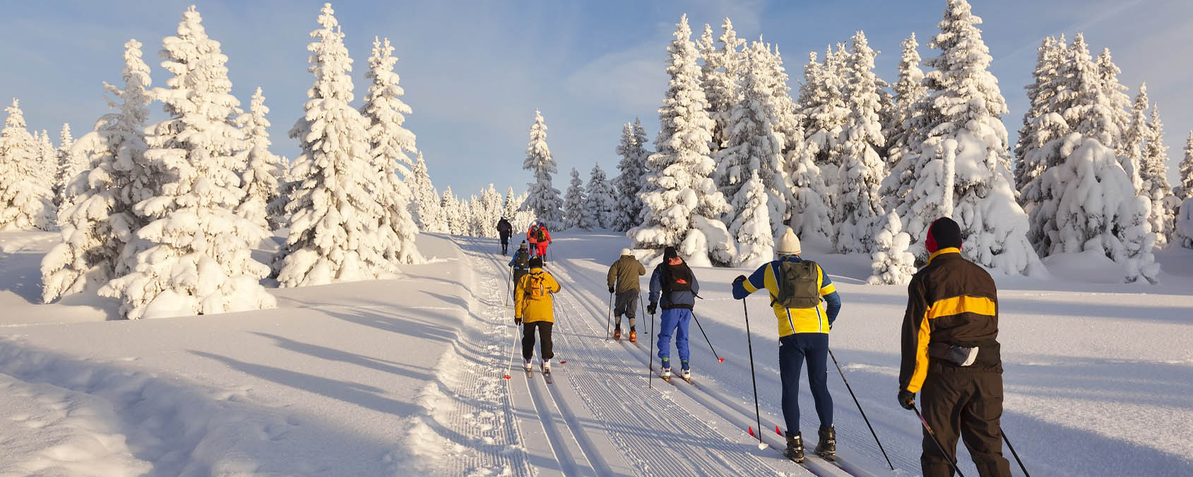 Эксперты назвали наиболее полезный и безопасный вид зимнего спорта