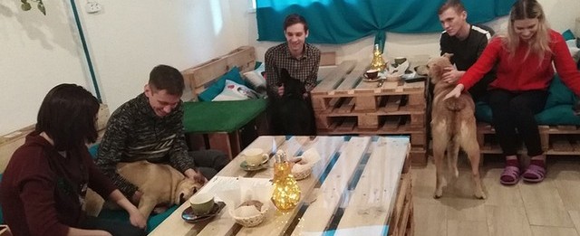 В Нижнем Новгороде появилось необычное кафе «БарBoss»