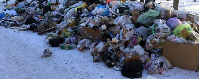 Власти Красноярска пообещали за два дня расчистить город от мусора