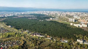 Chernyayevsky park