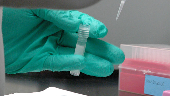 вирусология