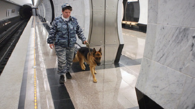 кинологи Нижний Новгород